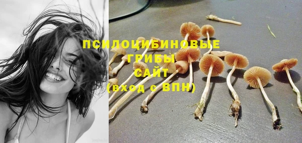 каннабис Каменка